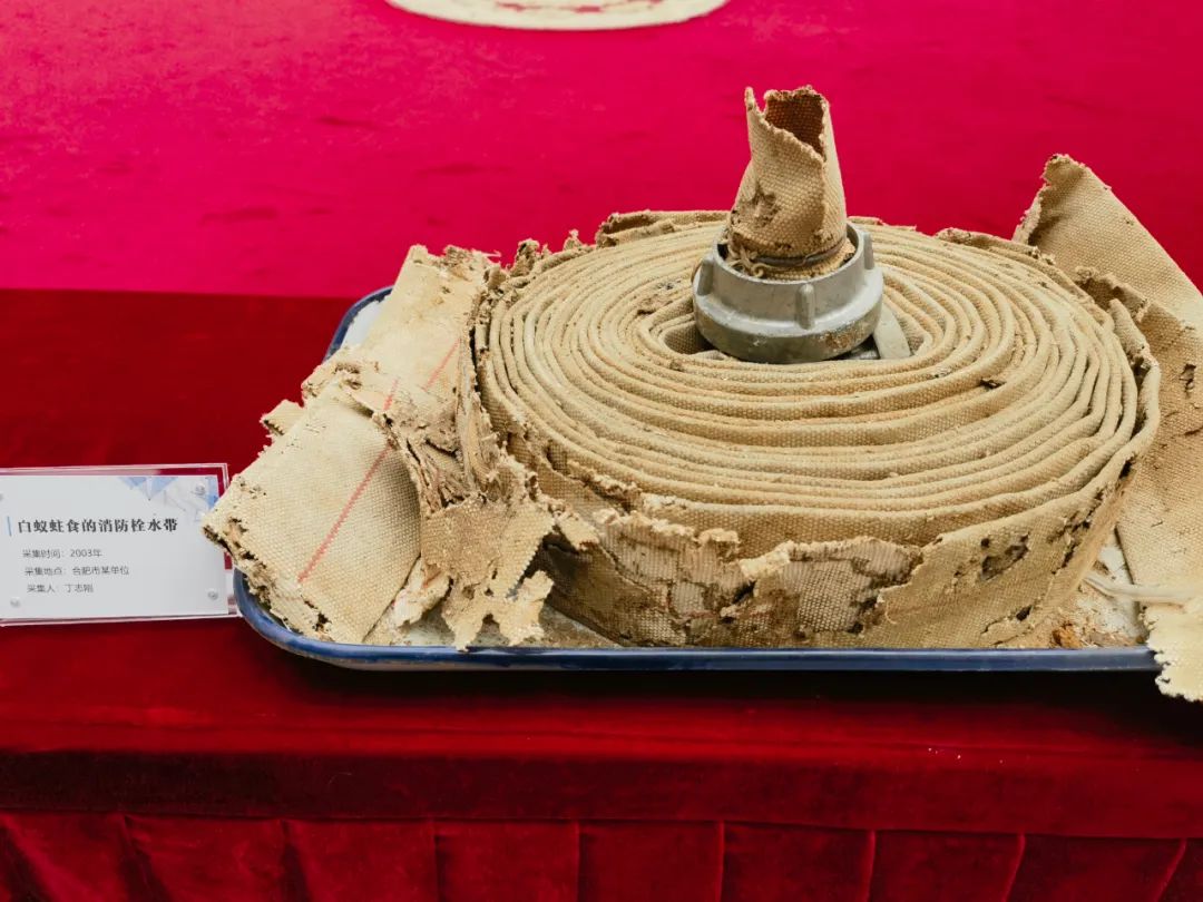 这些电话一定要收藏,10个免费电话