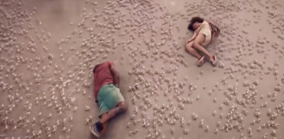 活久见2022,活久见原创原声