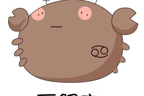 十二星座公主礼服和裙子,公主裙礼服12星座时装裙