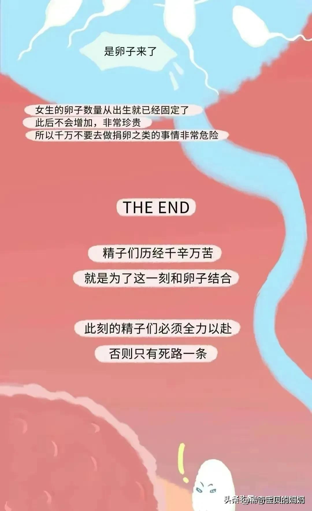 男生的“精子”进入女生体内，会发生怎样的变化？