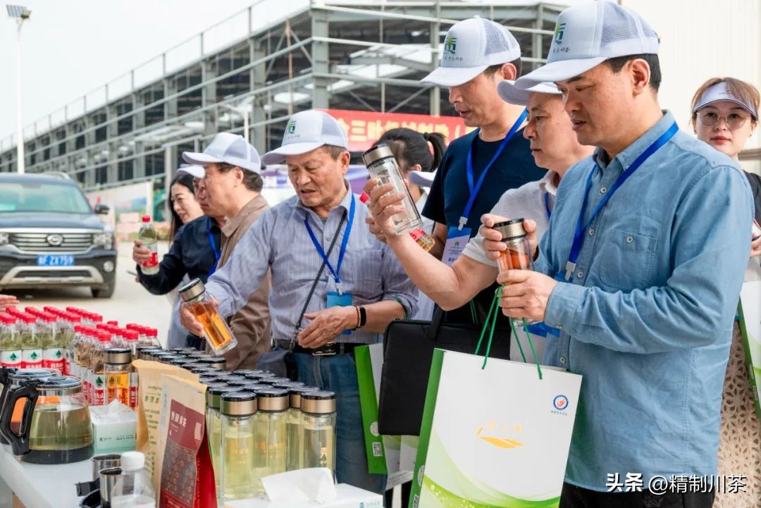 寻茶香赴春约---记四川省茶叶行业协会贵州毕节行