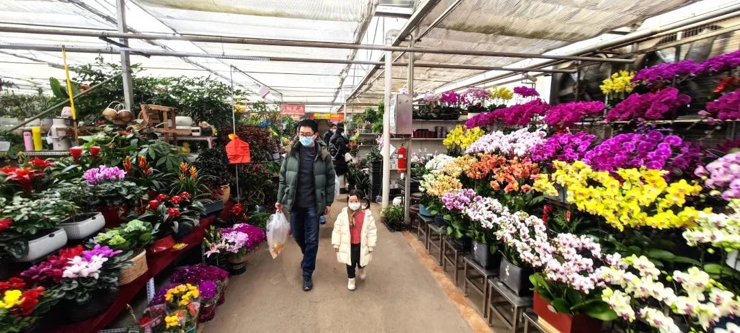 西安兵马俑一日游怎么乘车,西安兵马俑旅游线路和攻略