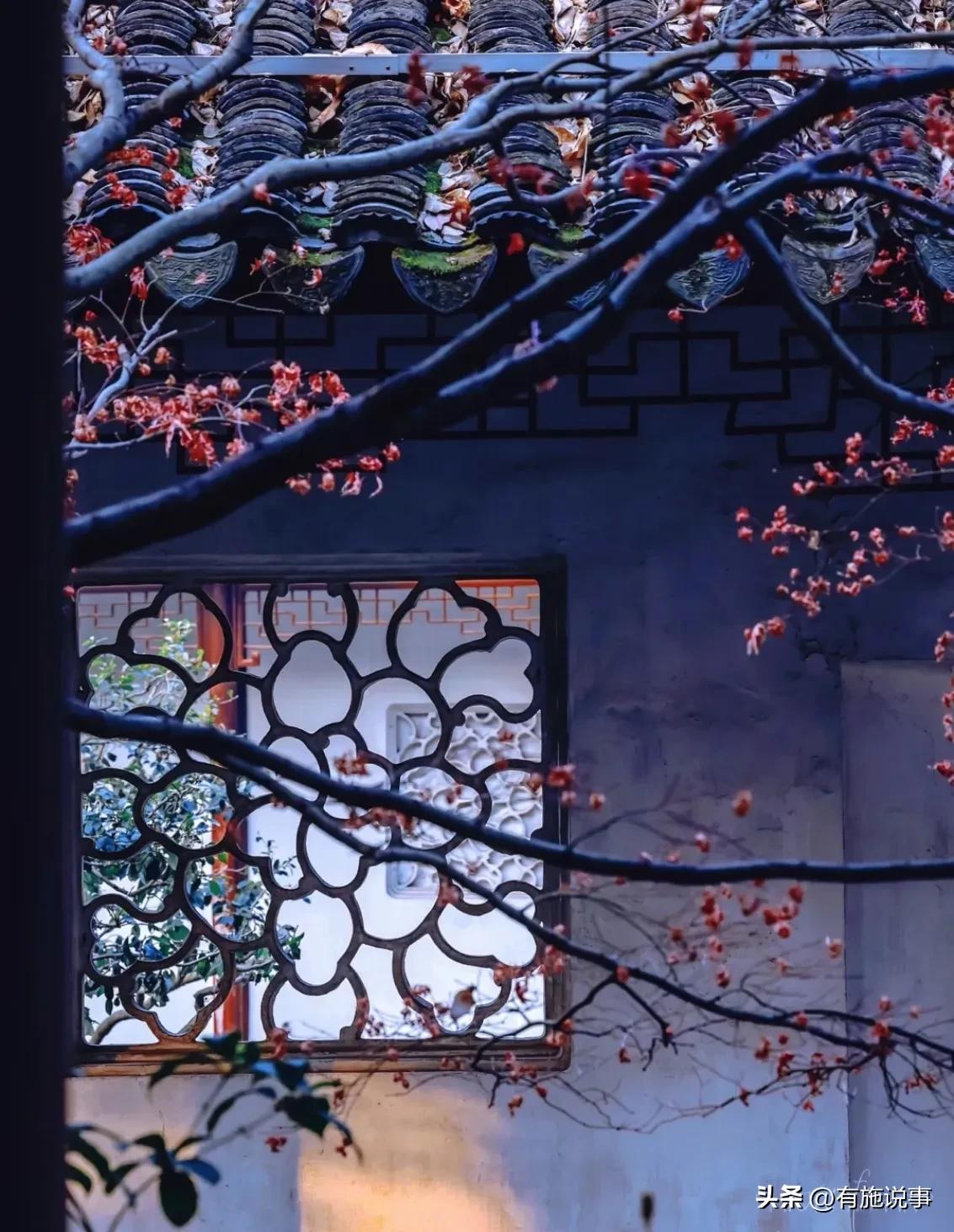 享乐游苏州之【拙政园】