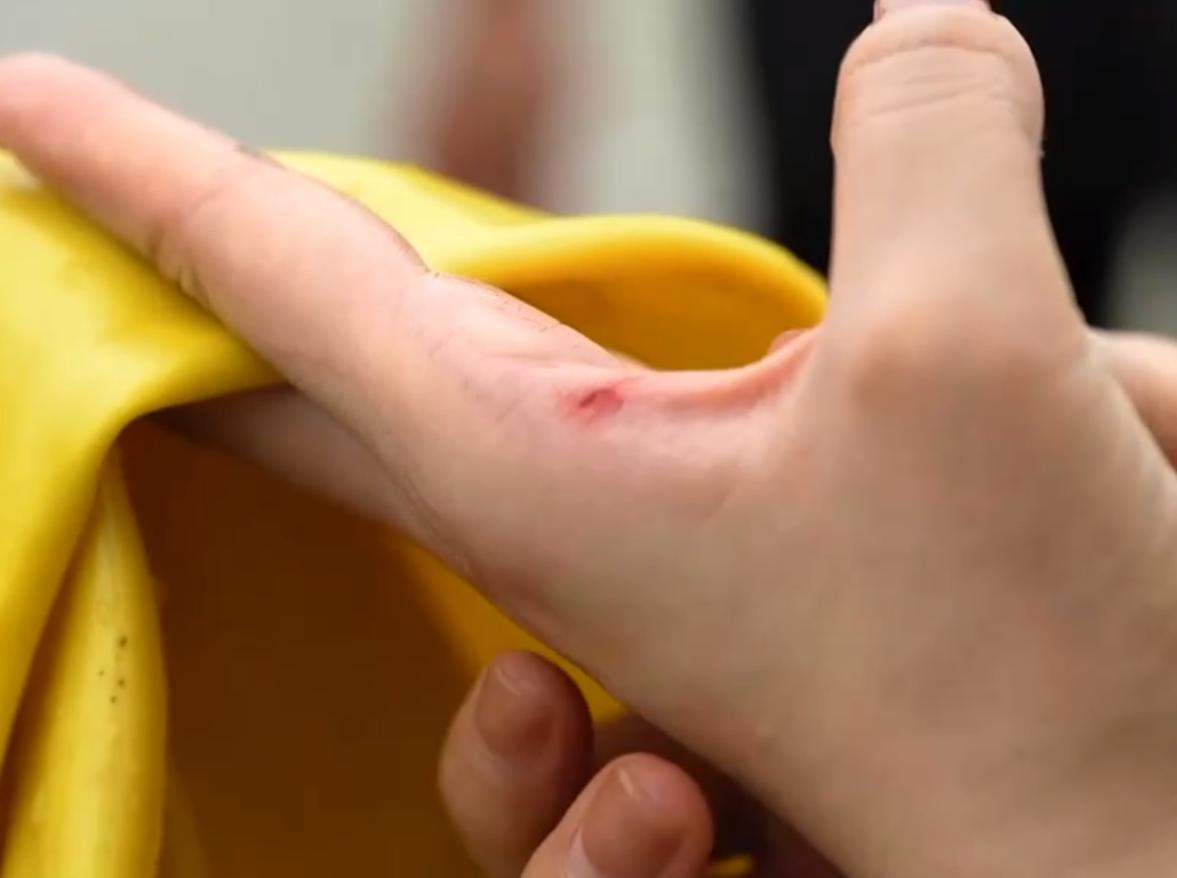 甲鱼养殖大棚建造图,温室大棚养甲鱼一亩能挣多少钱