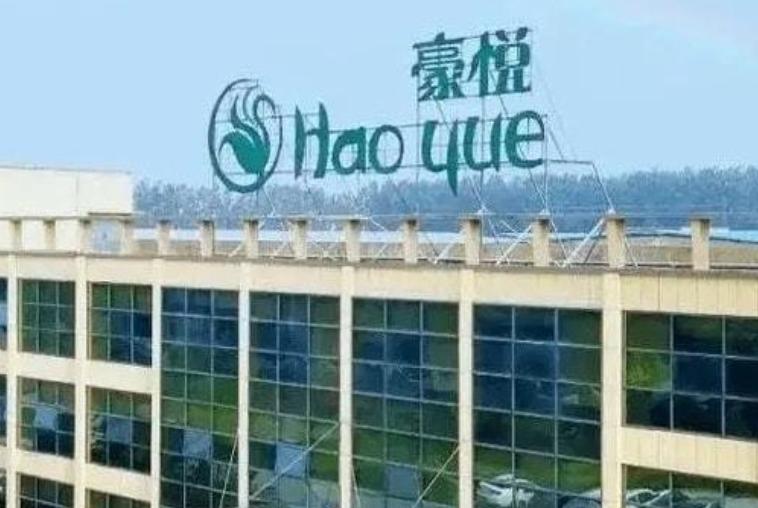 豪悦护理财务总监,豪悦护理董事长访谈