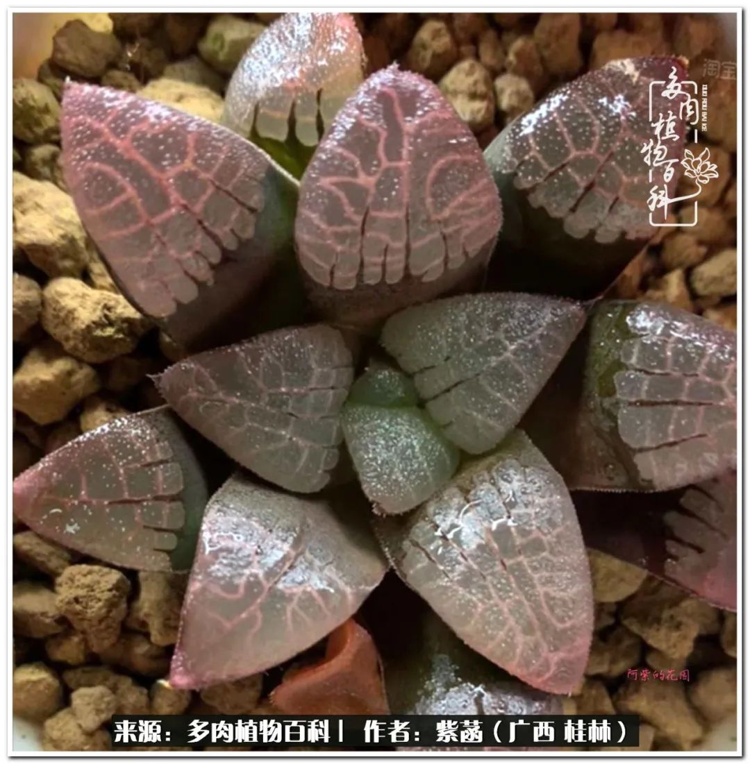 酷暑里的关爱，如十二卷般透亮绵长