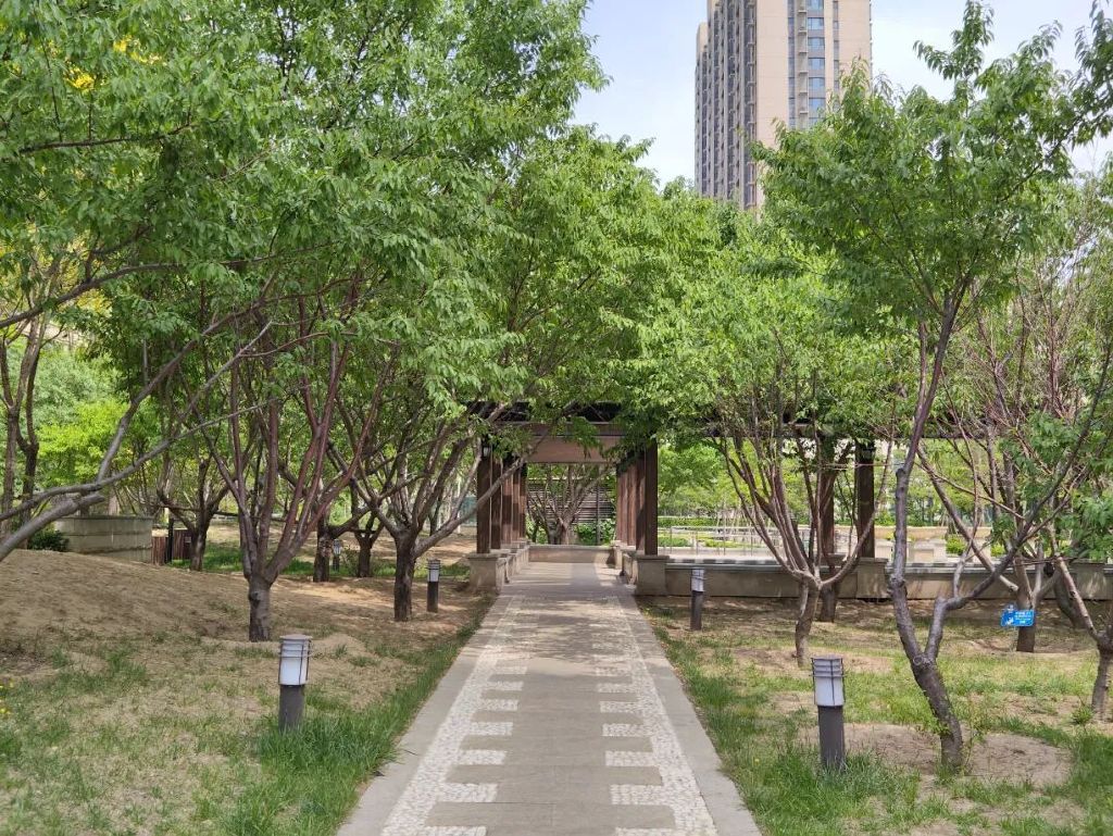 谁是影像机皇,谁才是手机机皇