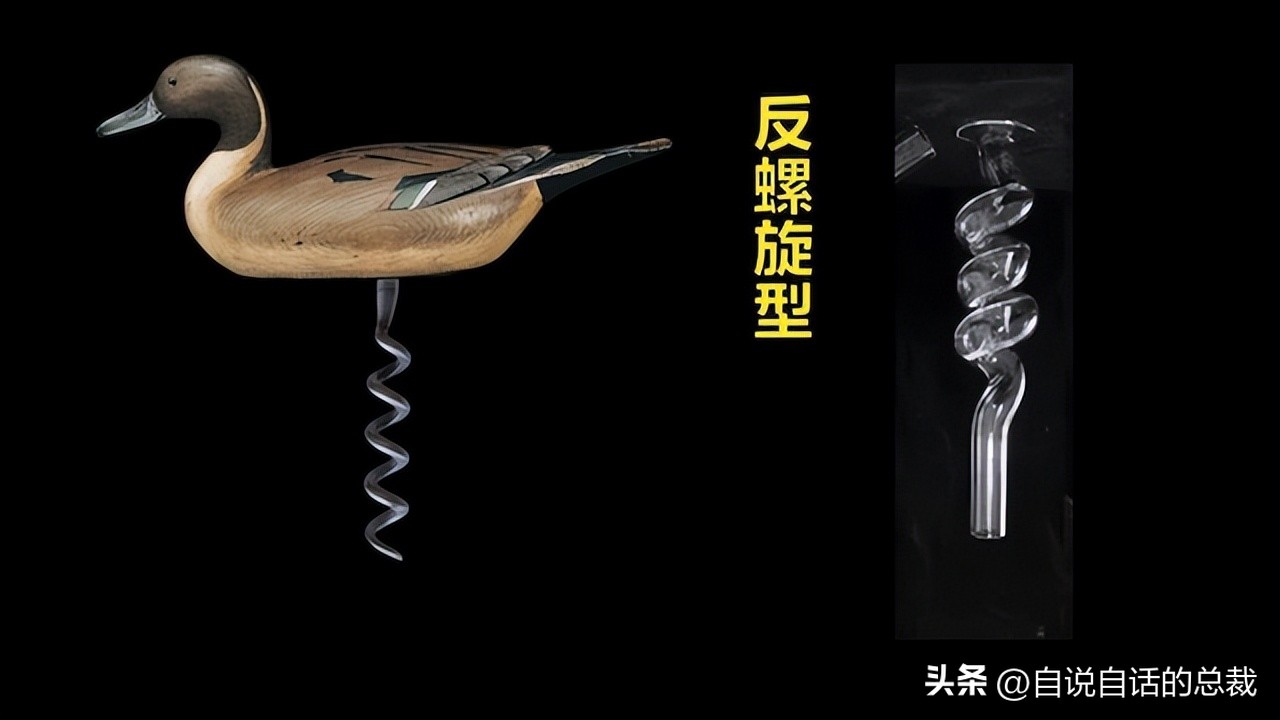 鸭：一鸭战四虎？弹射胜航母？鸭子的真相，也许超乎你的想象