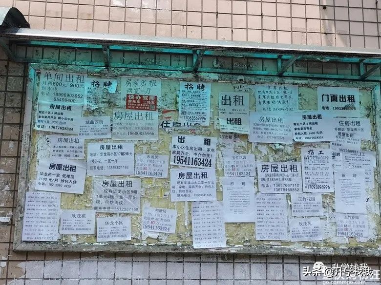 陪读房三室两厅一卫租金1300,潍坊一中附近陪读租房租金多少