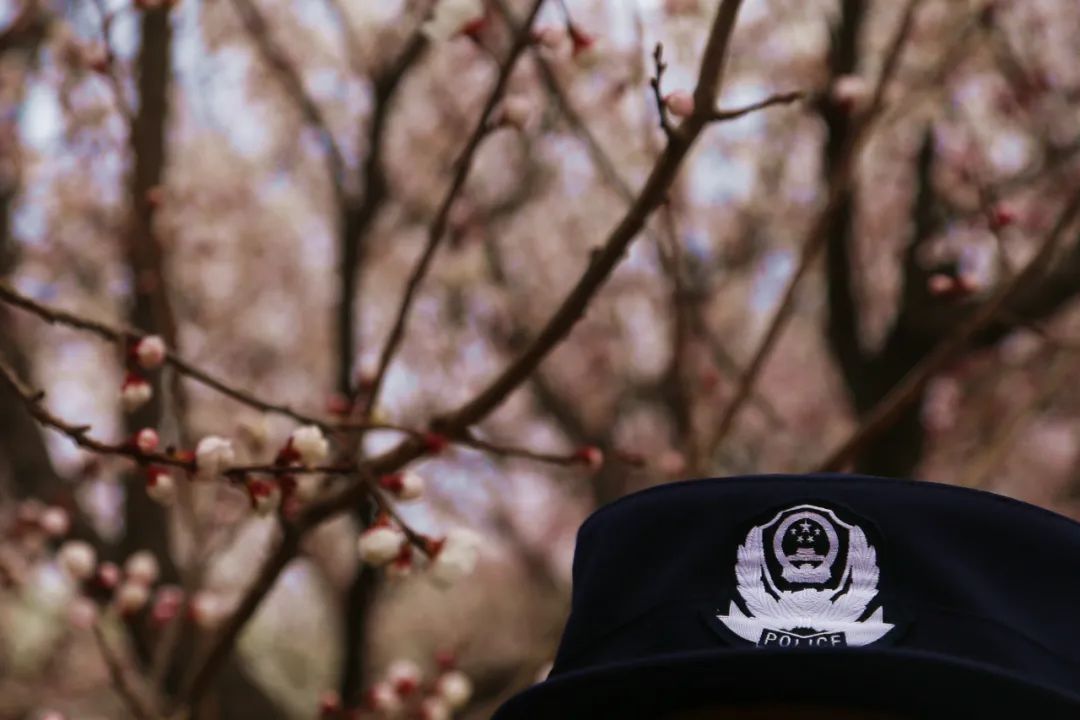 警花表白同为民警的新郎,警花燕子电影完整版