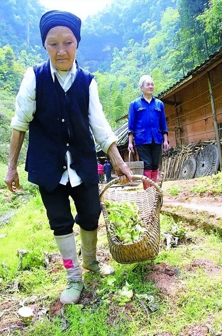 19岁小伙带29岁女子隐居50年,19岁男子与29岁女子上山隐居