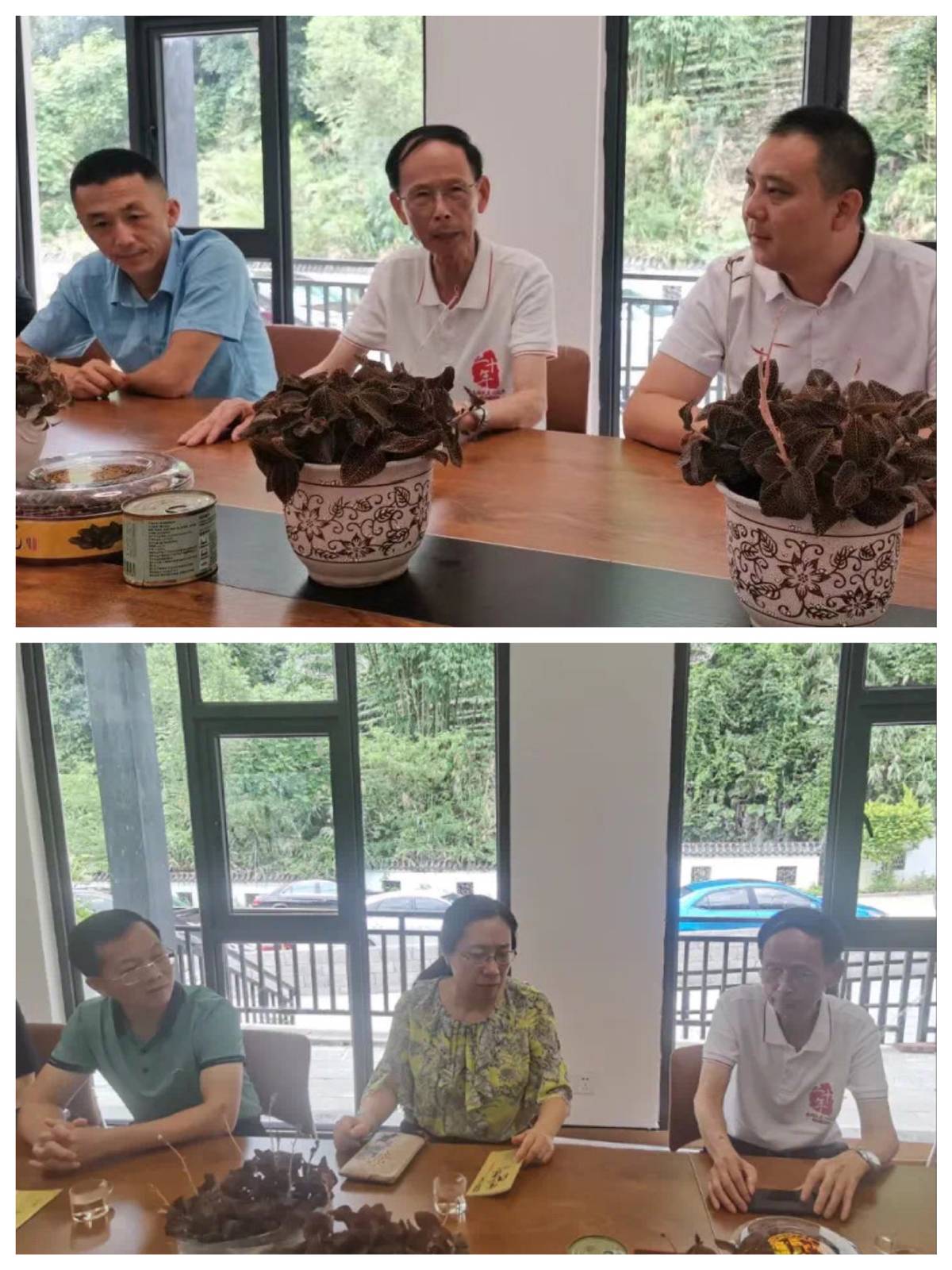 广东鼎湖民建、肇庆恒泰公司到昭平县走马镇开展结对帮扶工作全方位推动产业振兴