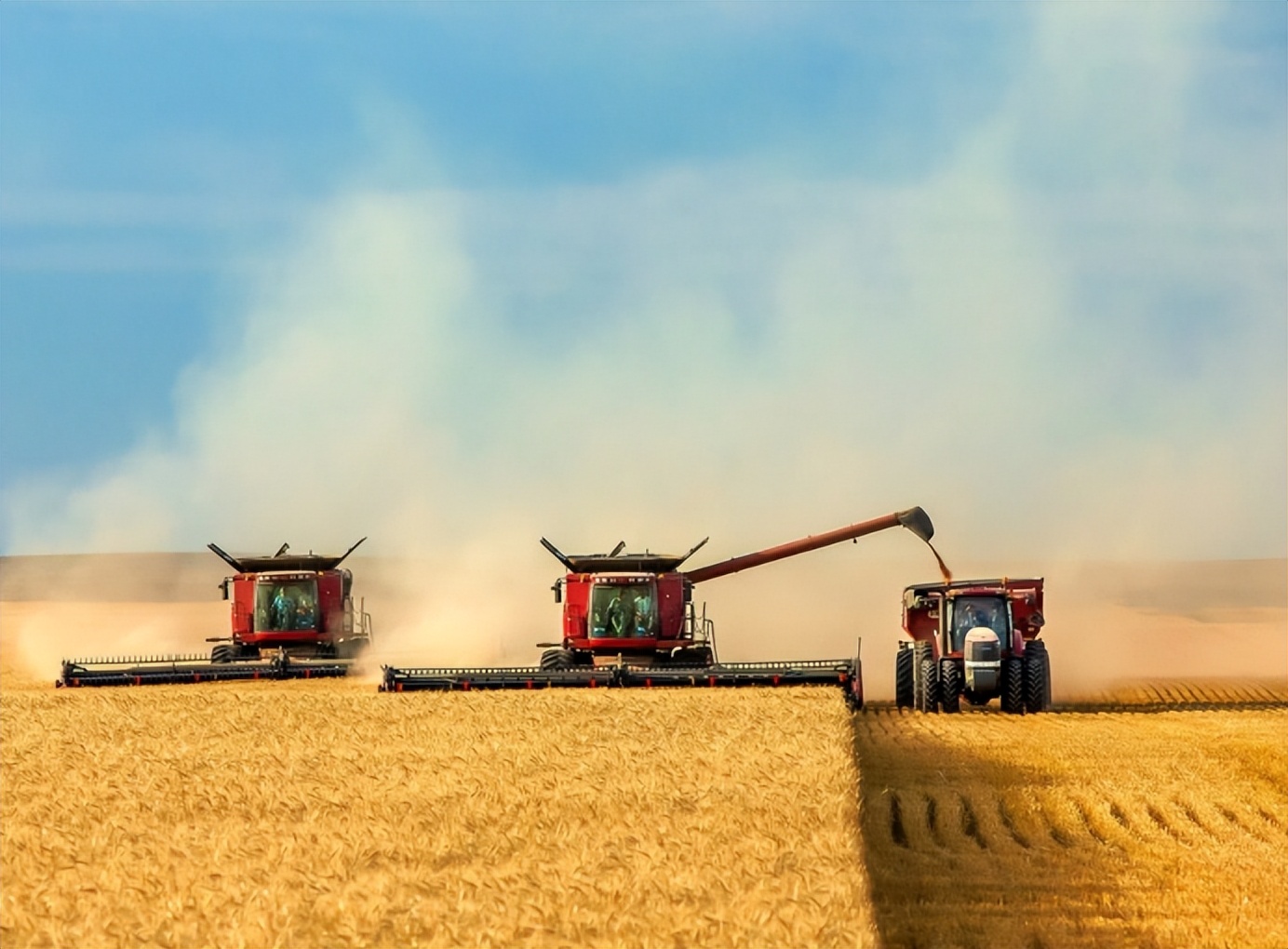 关于国家农村土地改革的新政策,目前农村土地改革政策