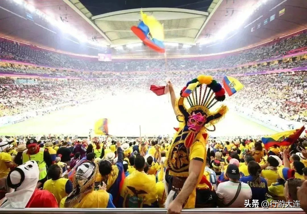 世界杯足球场比赛场地,大连世界杯足球场