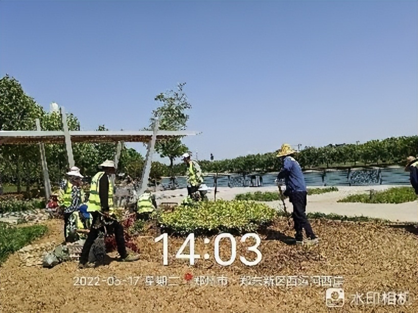 12月份园林绿化养护工作重点,元月份园林养护重点工作