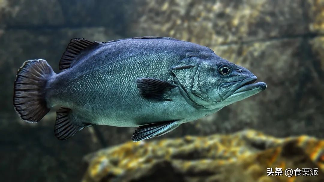 怀孕后到底哪些一定不能吃的,怀孕期间要注意哪些东西不能吃