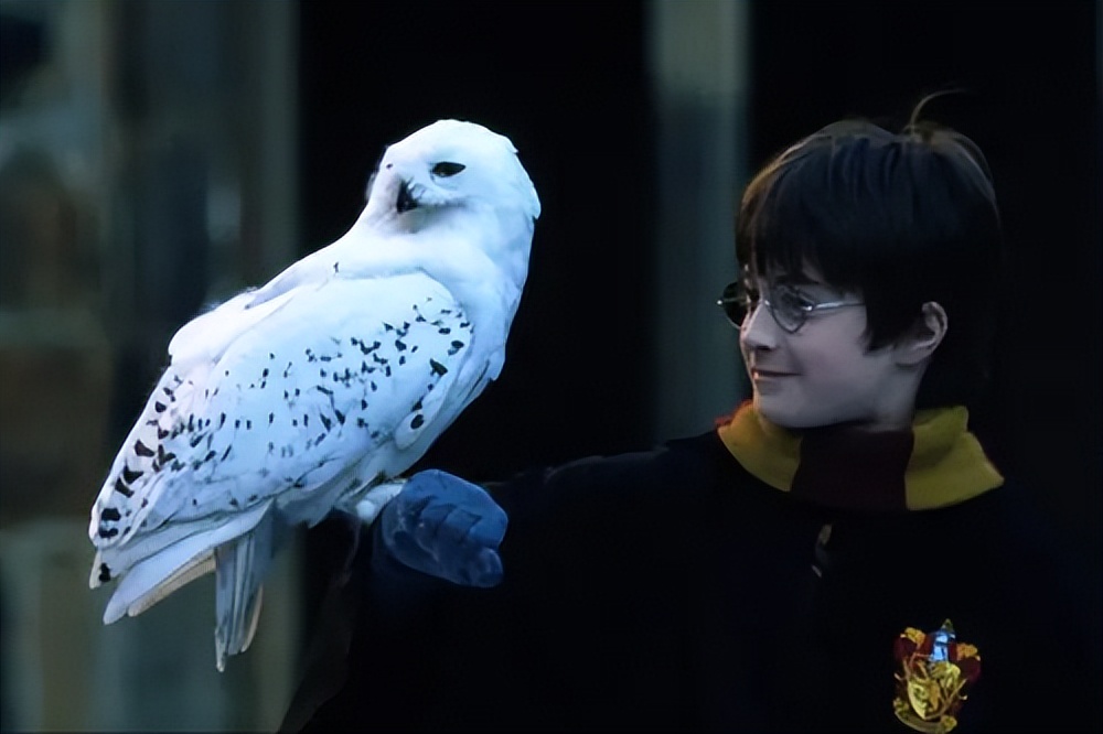 电影艺术中的风格意境和品味,电影呈现比戏剧更高的时空灵活度