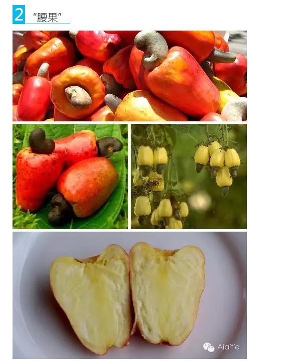 世界最好吃的水果十大排行,世界最营养又好吃的水果有哪些