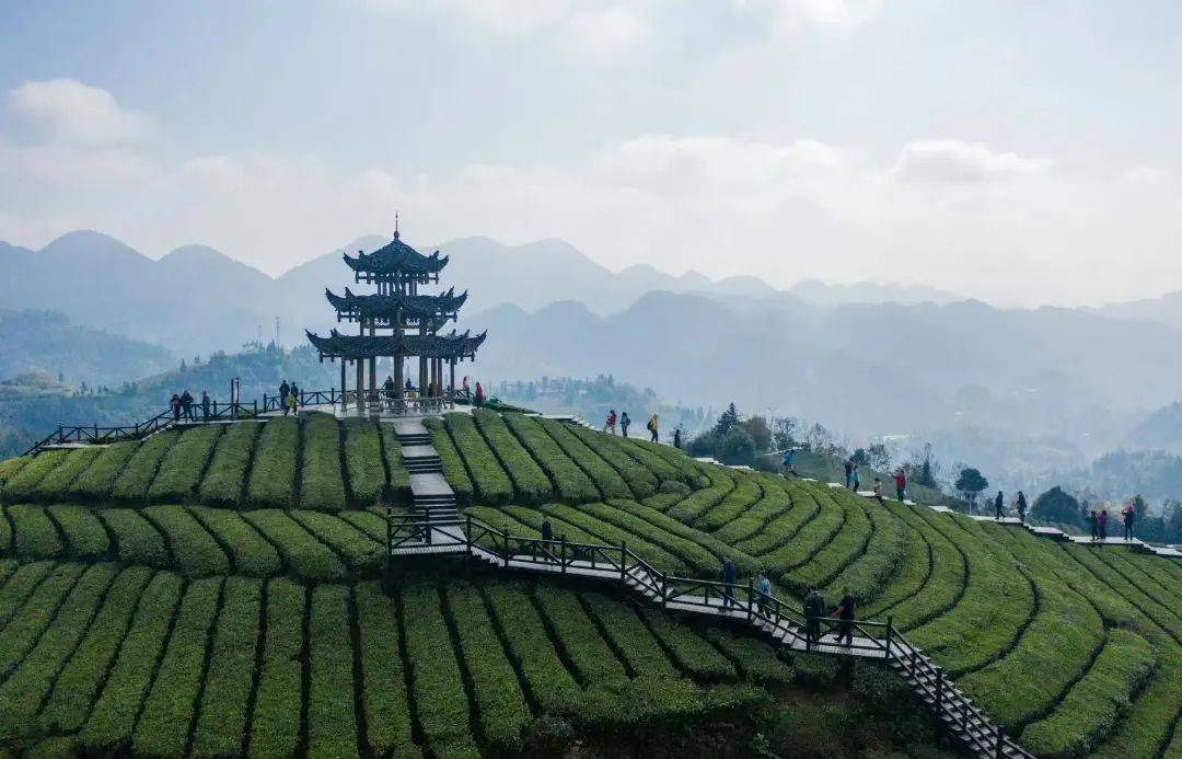 恩施土特产九哥店地址,恩施土特产连锁店