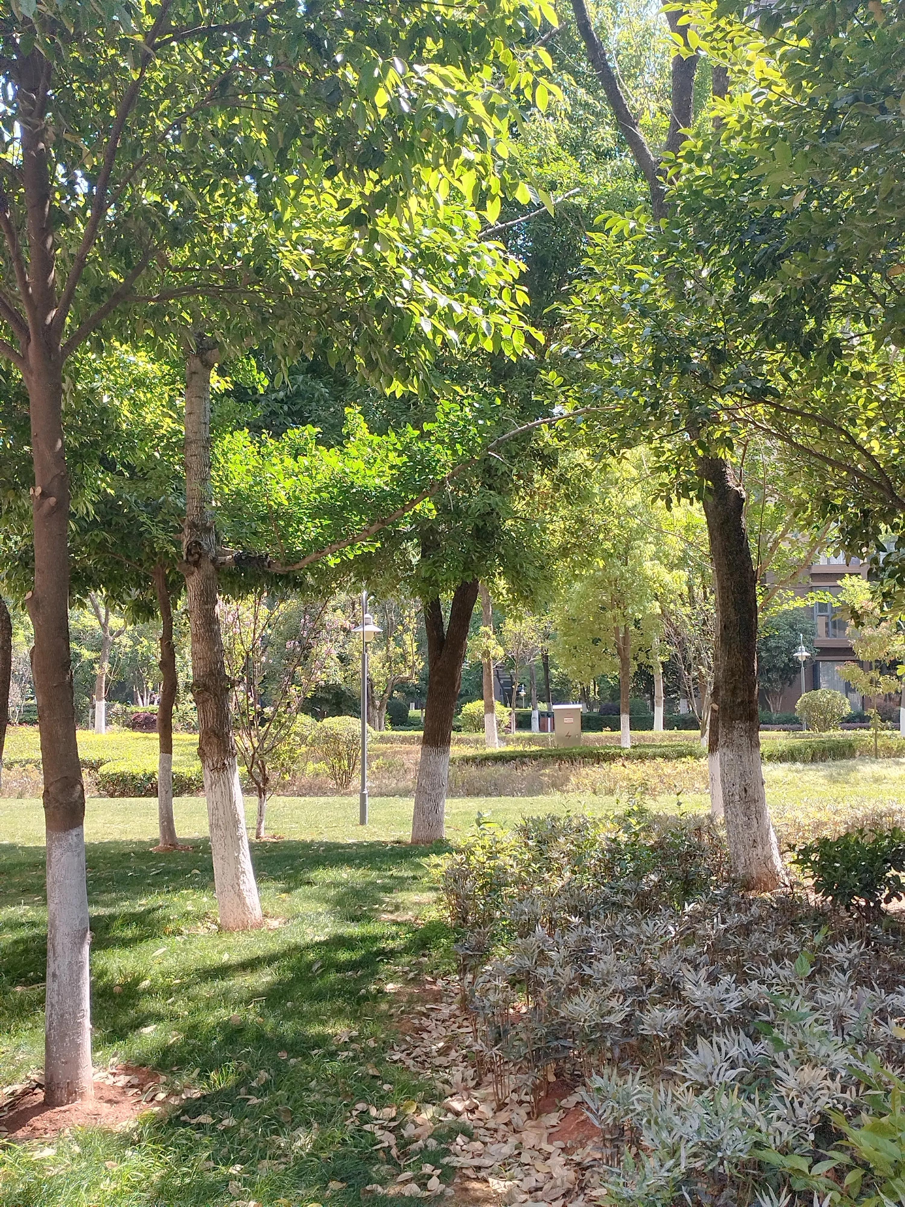 男人的简单快乐,简单才会更快乐