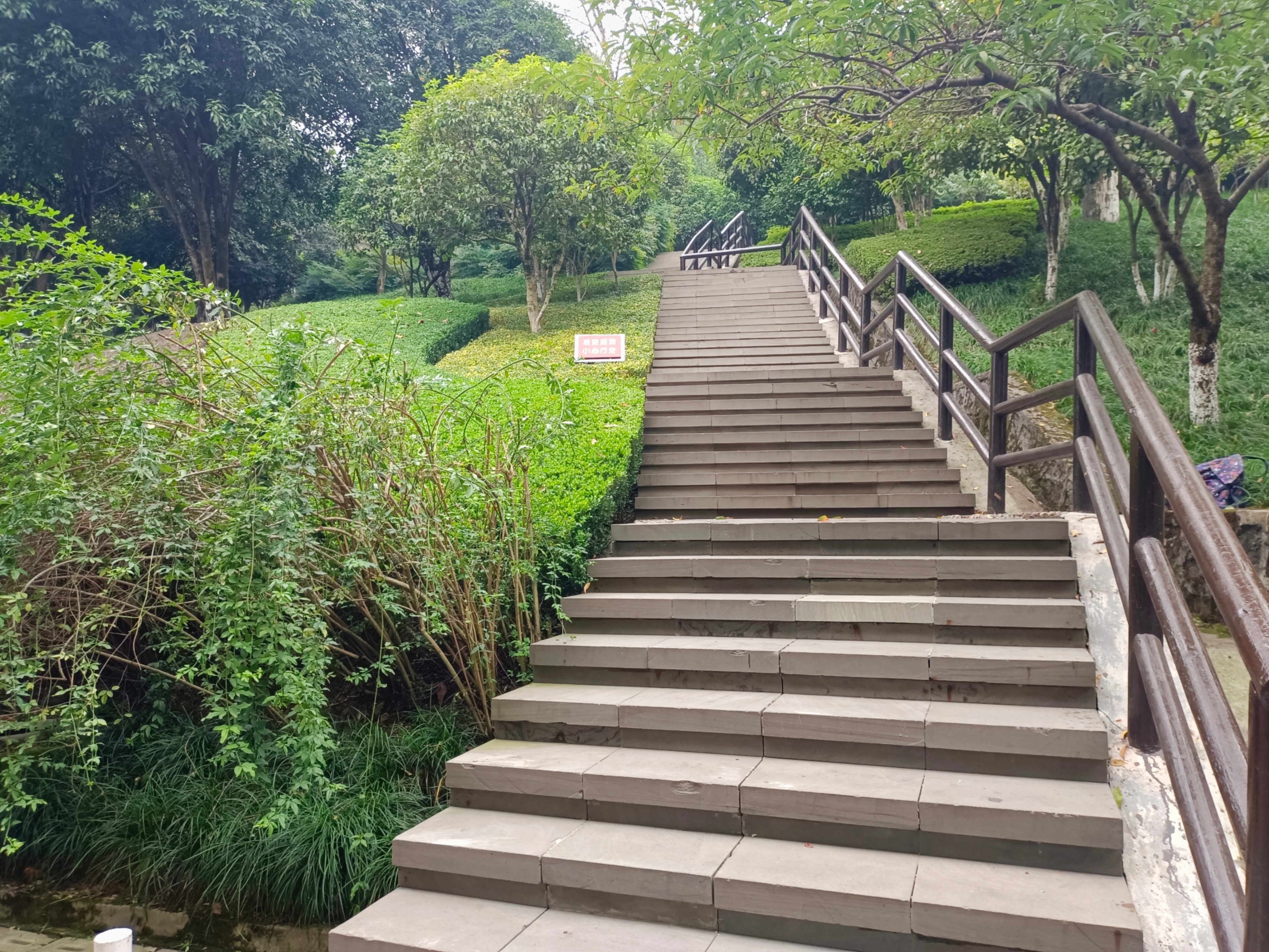 五菱星驰能在二环跑吗,五菱星驰进无人区