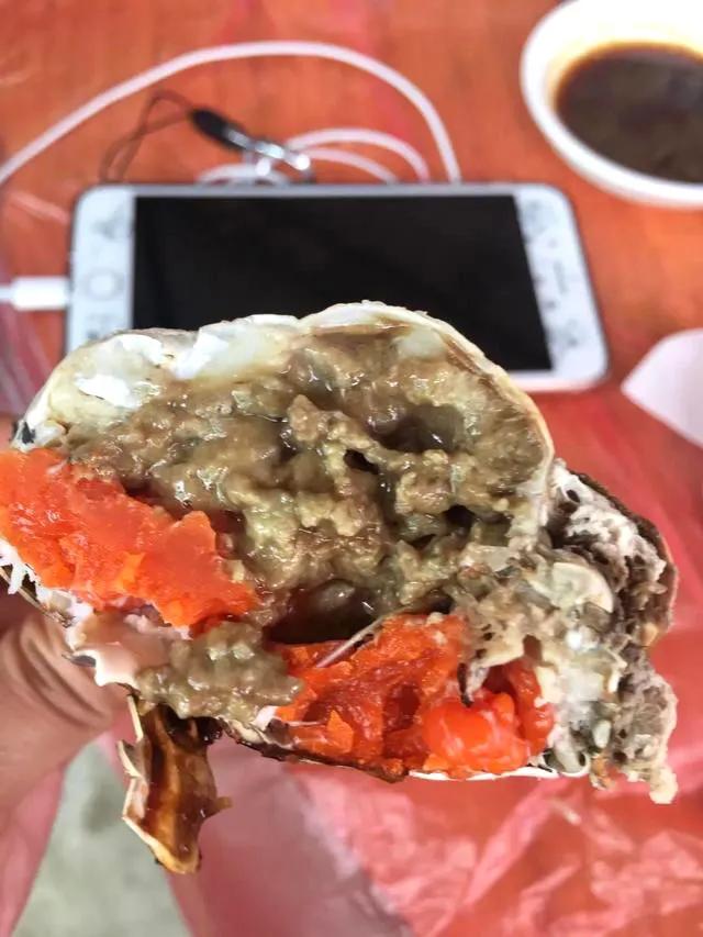 深圳本地的蟹,深圳黄油蟹产地