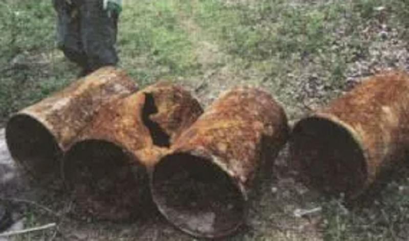 日本侵华老兵在黑龙江,2004年日本老兵到巴彦