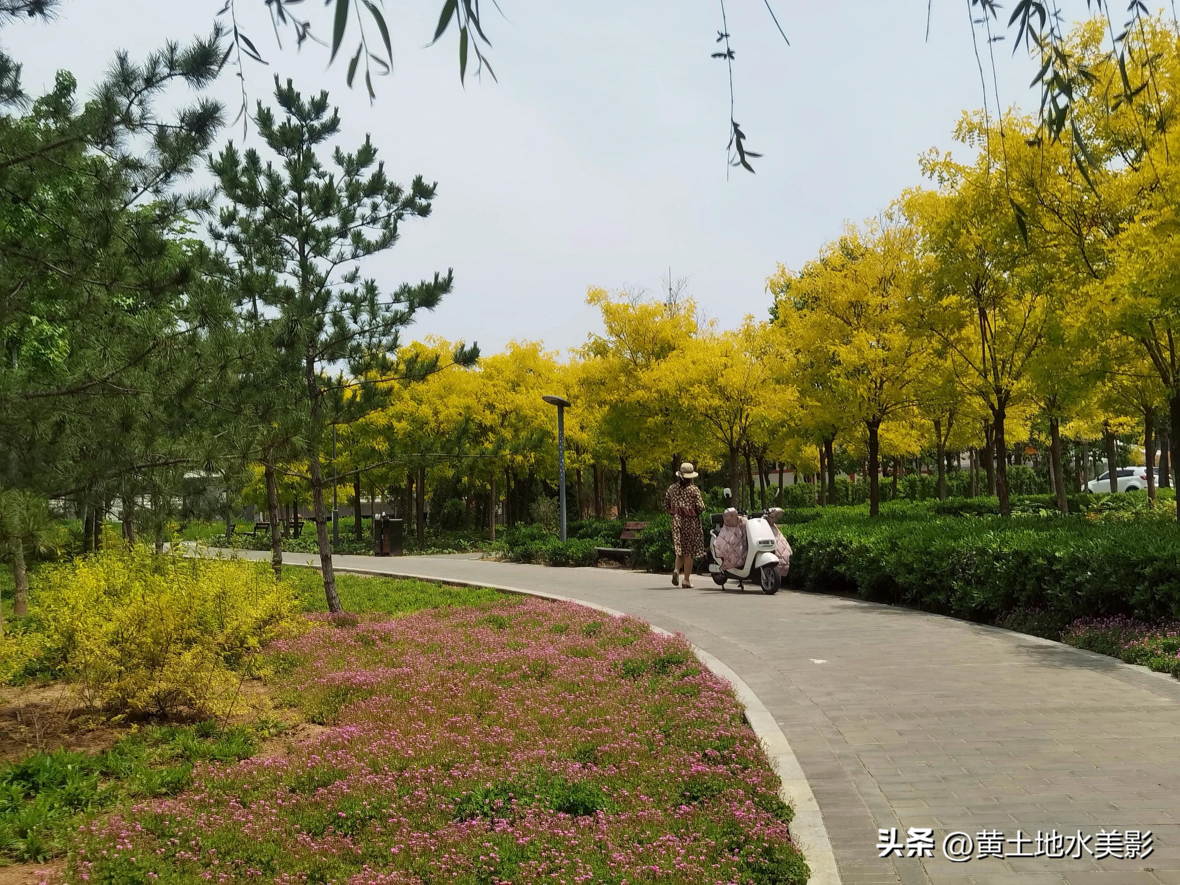郑州象湖生态公园免费景点推荐,绿湖湿地公园河南