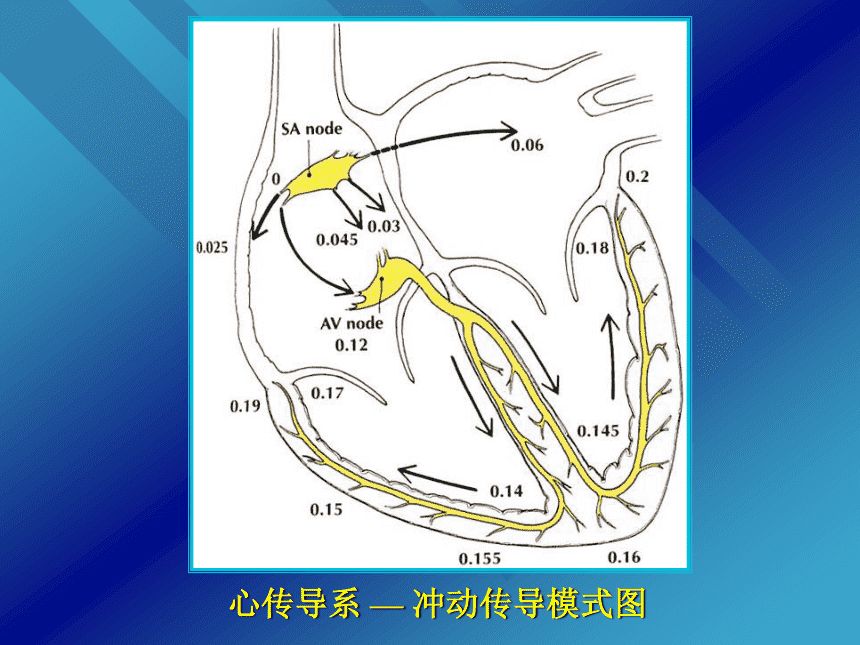 心慌心动过速房颤健康科普,气温骤降警惕呼吸系统疾病