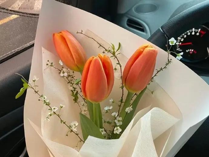 男人学会这个套路女人会更爱你,会套路的男人总能让女人爱你上瘾