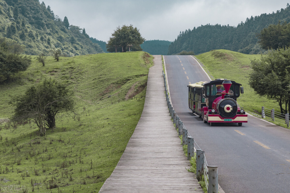 重庆武隆仙女山冬天自驾旅游攻略,仙女山游客中心到仙女山大草原