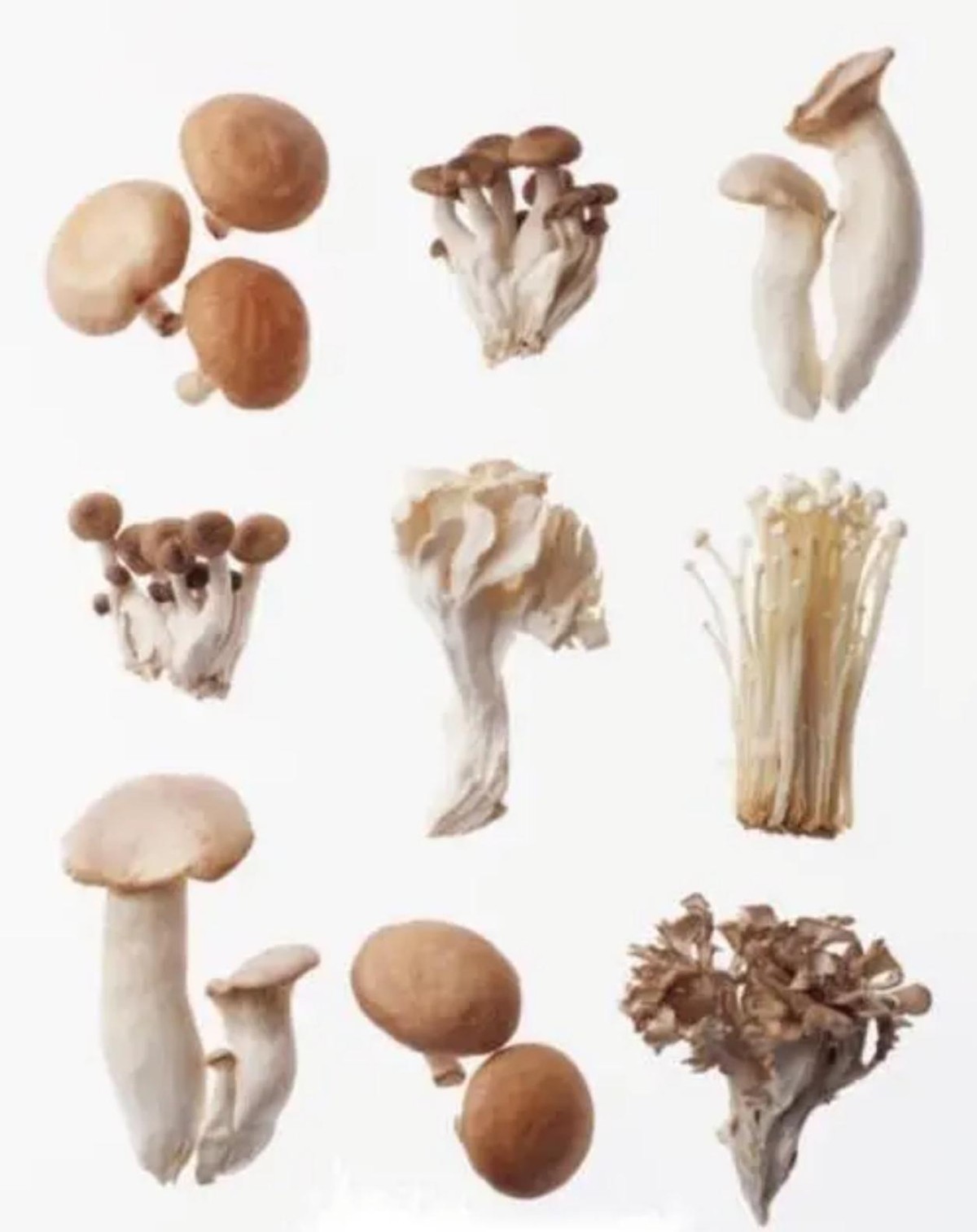 高血压患者服用维生素b2有帮助吗,维生素B2对高血压有帮助吗