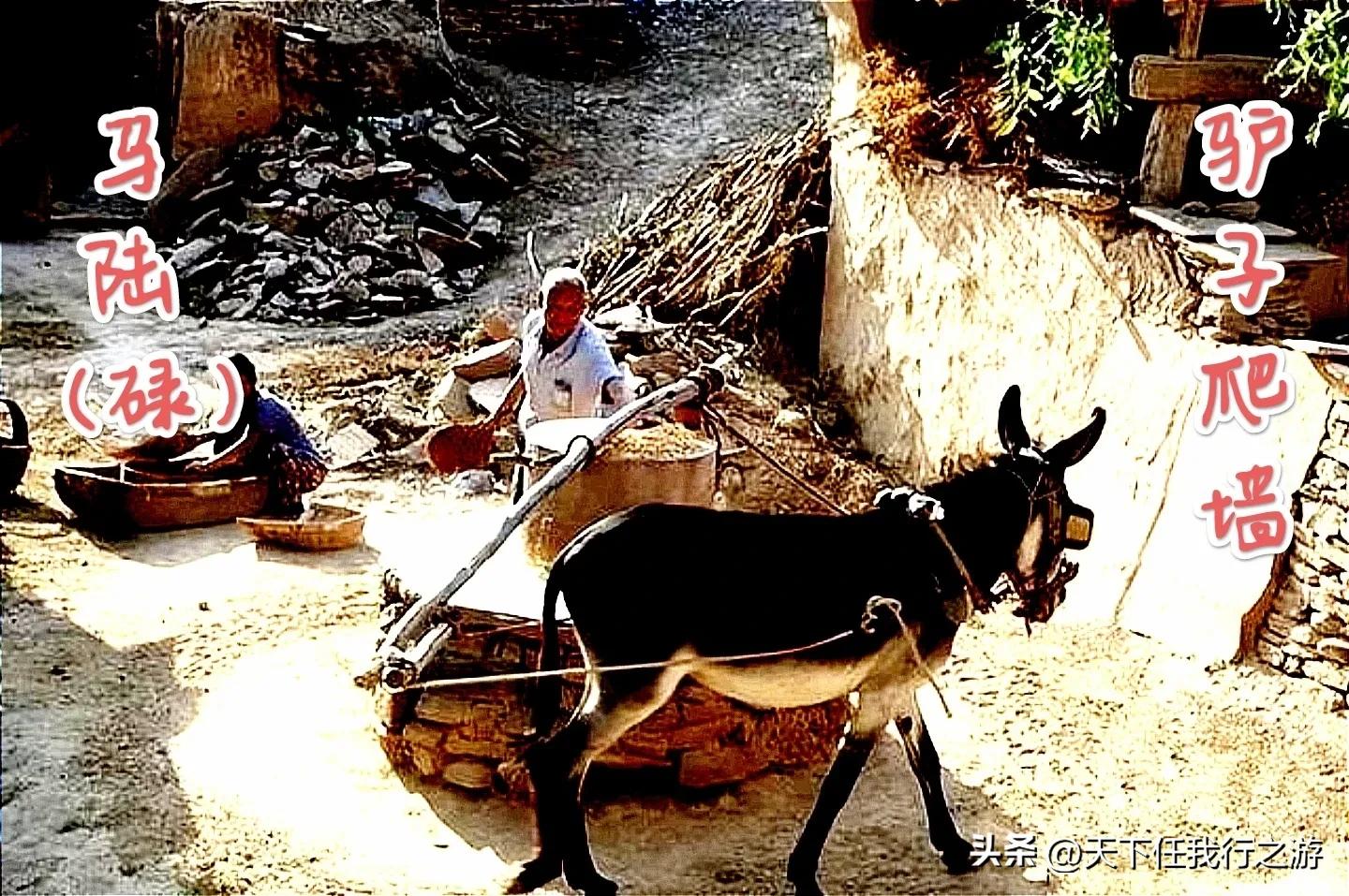 最有趣的歇后语看完不准笑,且幽默而又有趣的歇后语
