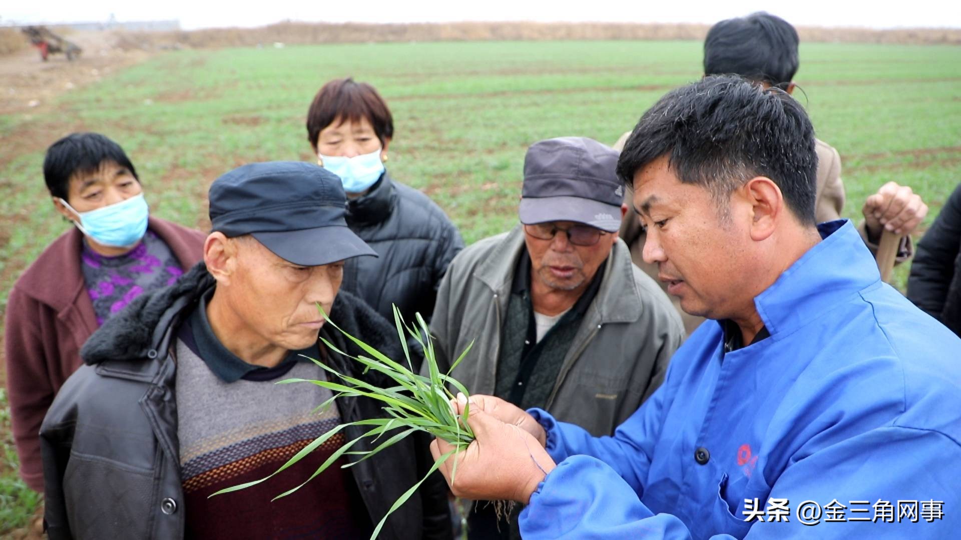 盐湖区金井乡农村,山西运城农业合作社运营模式