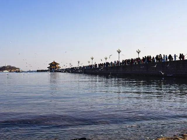 去山东青岛旅游过程和收获,去青岛旅游感受100字