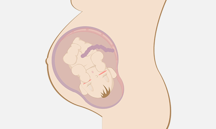 胎宝宝能感觉到冷热或疼痛吗？聊聊他的触觉发育