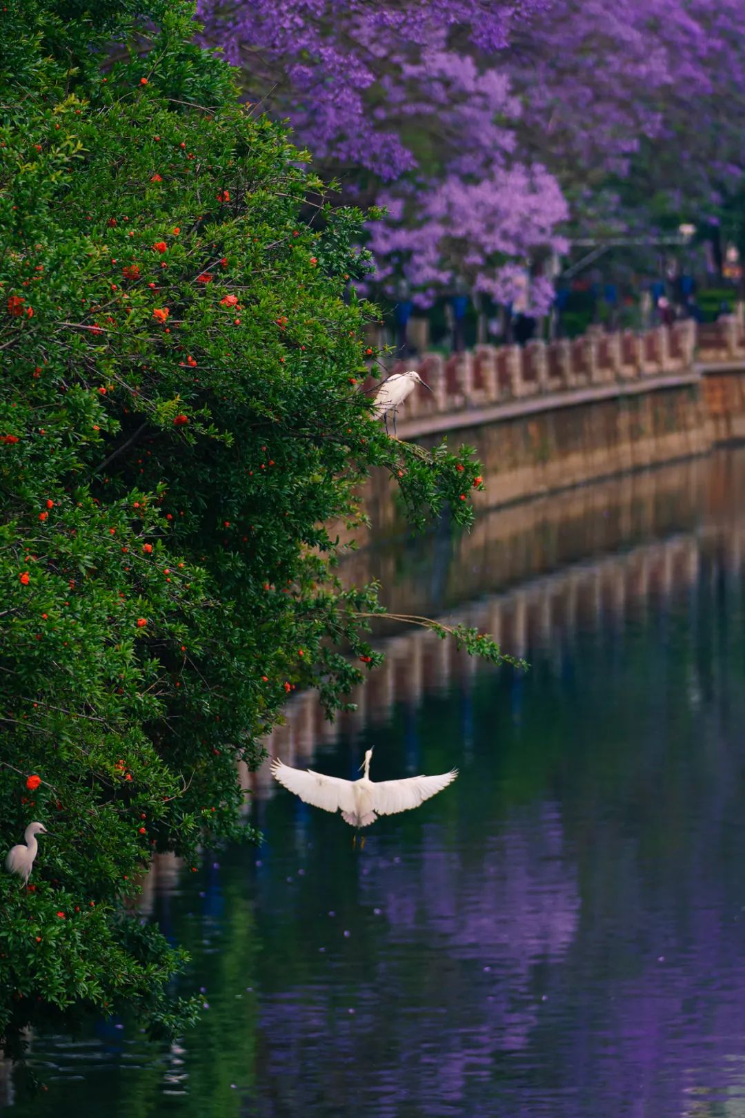 中国十大养老宜居城市,最宜居的十个养老城市