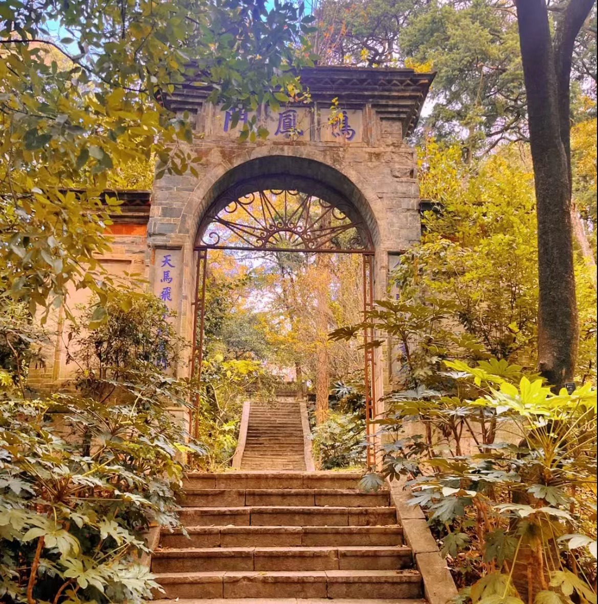 云南省四季如春之都,云南省哪个地区四季如春