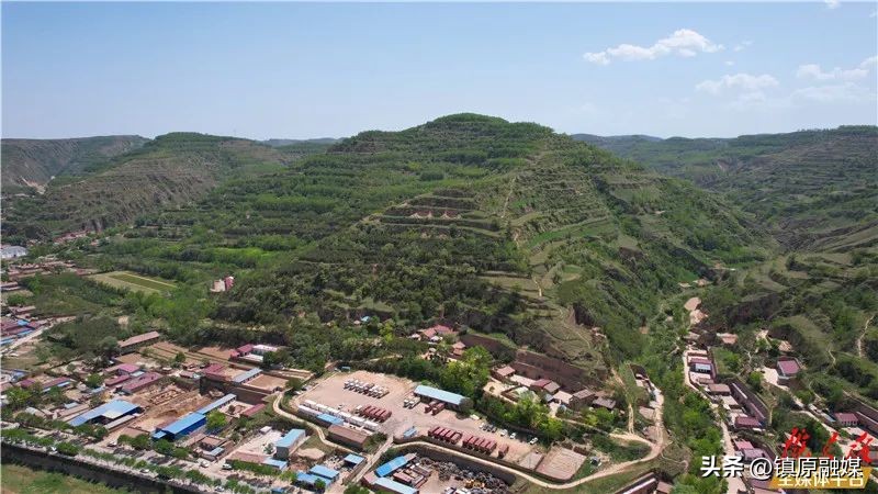 非常眼丨西野纵横战悦乐