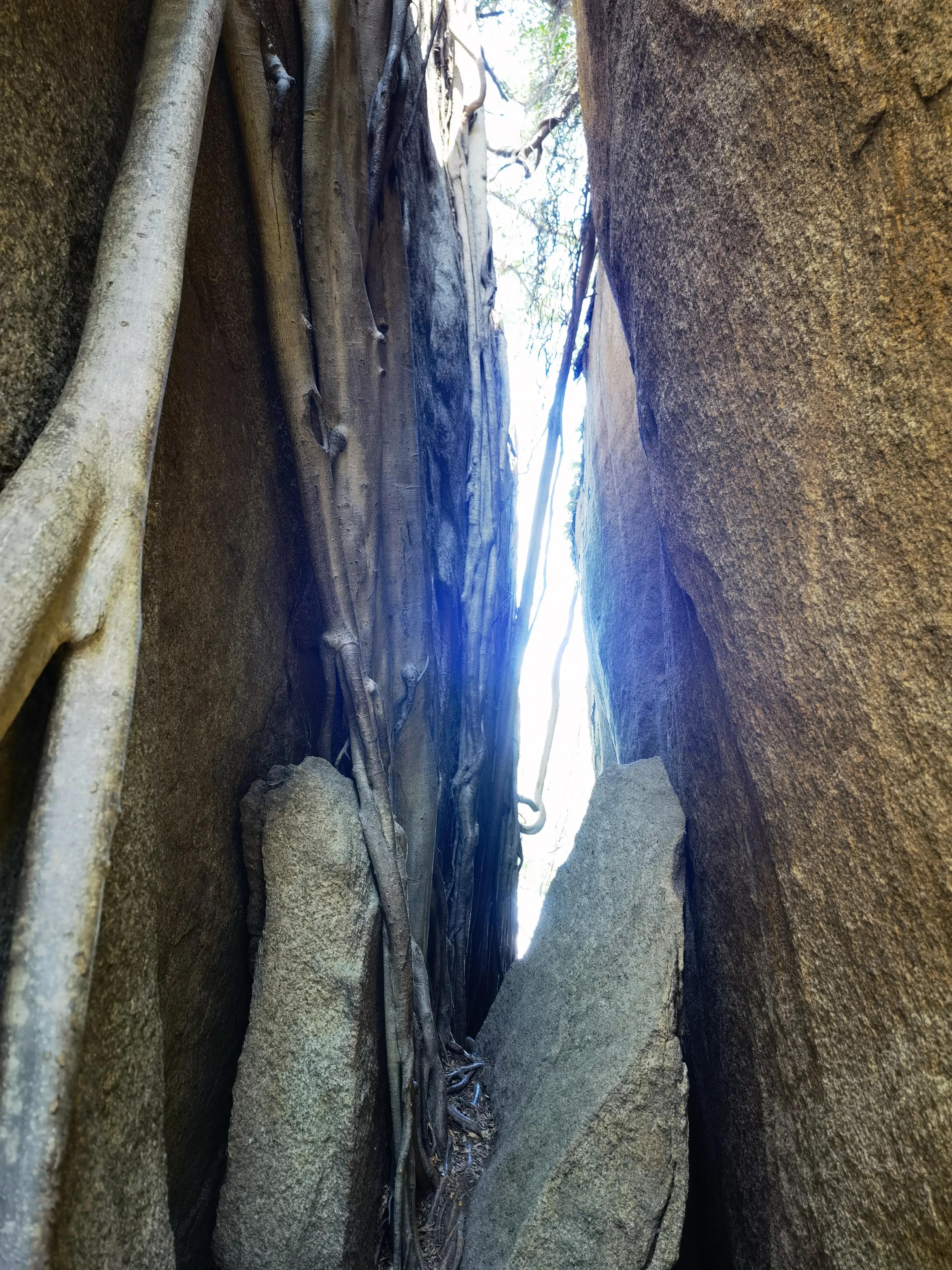 厦门岛内去哪里逛,厦门新年爬山