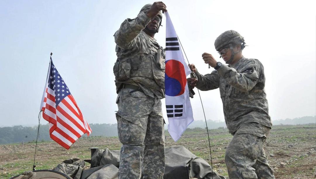 美光芯片在华禁售概率,美光芯片被禁售后果