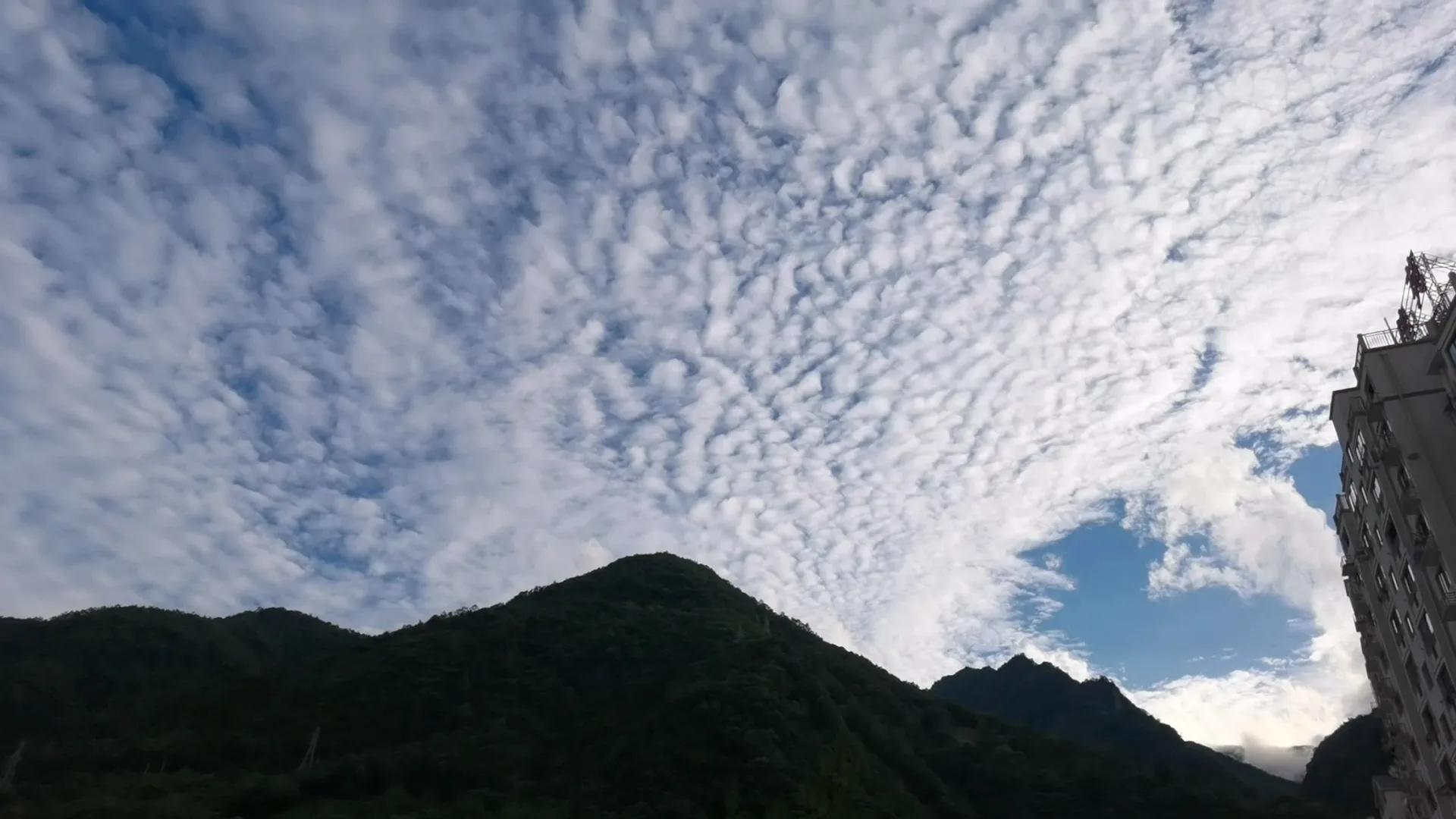 神农架木鱼镇老地方,神农架木鱼镇历史