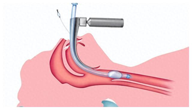 中国可燃冰首次发现,我国科考队登顶卓奥友峰感想