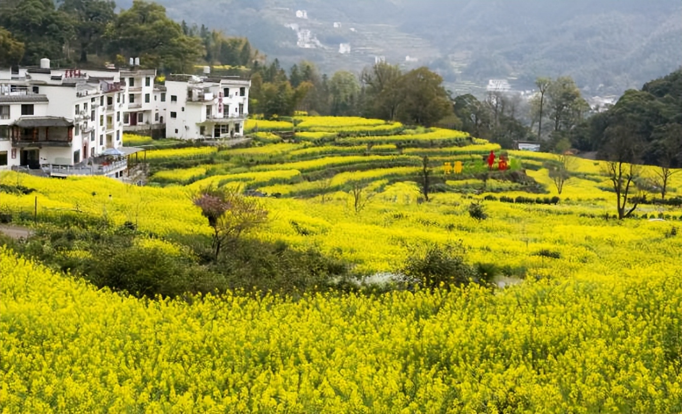 墙上加墙家败人亡原因,什么是墙上加墙家败人亡