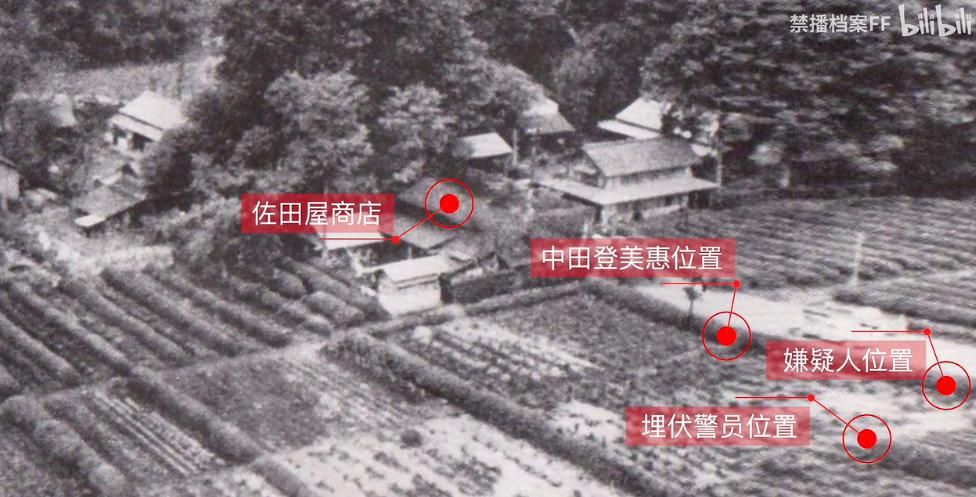 宫崎骏龙猫原型是什么动物,宫崎骏龙猫原型什么颜色