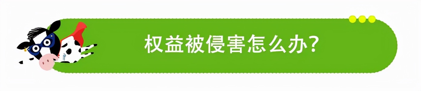 今天3.15，来看看荷兰人遇到假货都怎么办？
