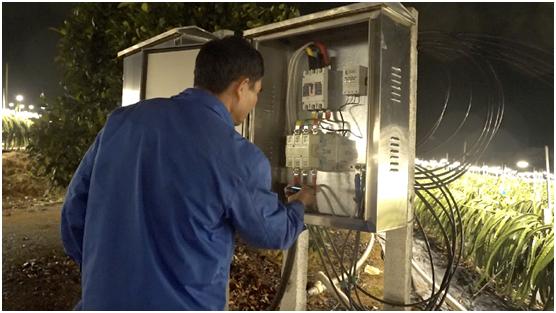 罗甸火龙果成为致富果,广西丰产火龙果