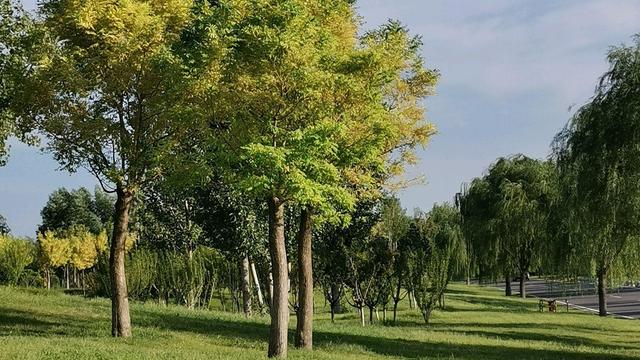 强迫症可以彻底治好么,强迫症能根治么