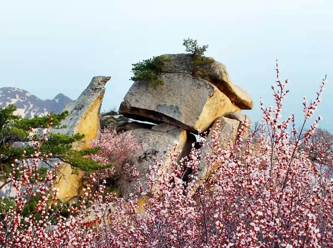 华山攻略北上西下得多长时间,徒步北上西下华山需要走多久