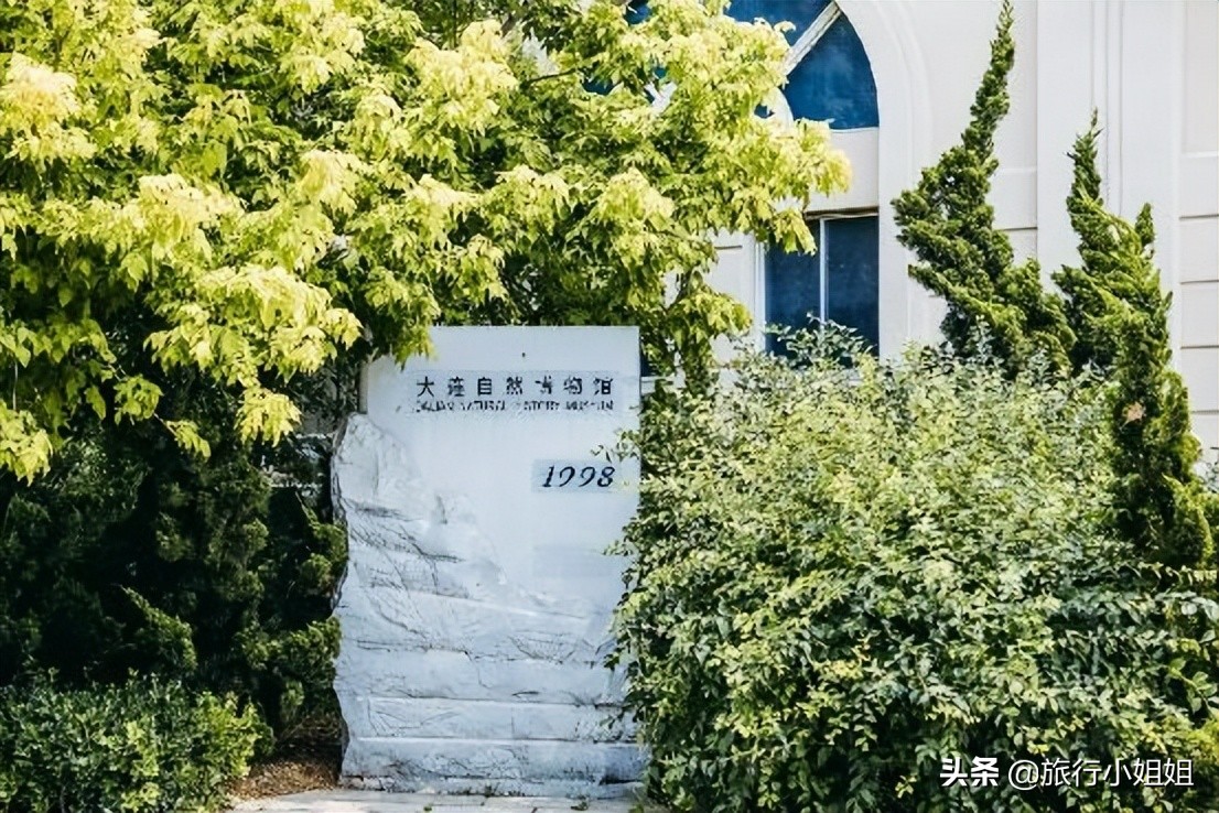 夏日海边浪漫迷人,滨城风光秀丽浪漫气息爆表